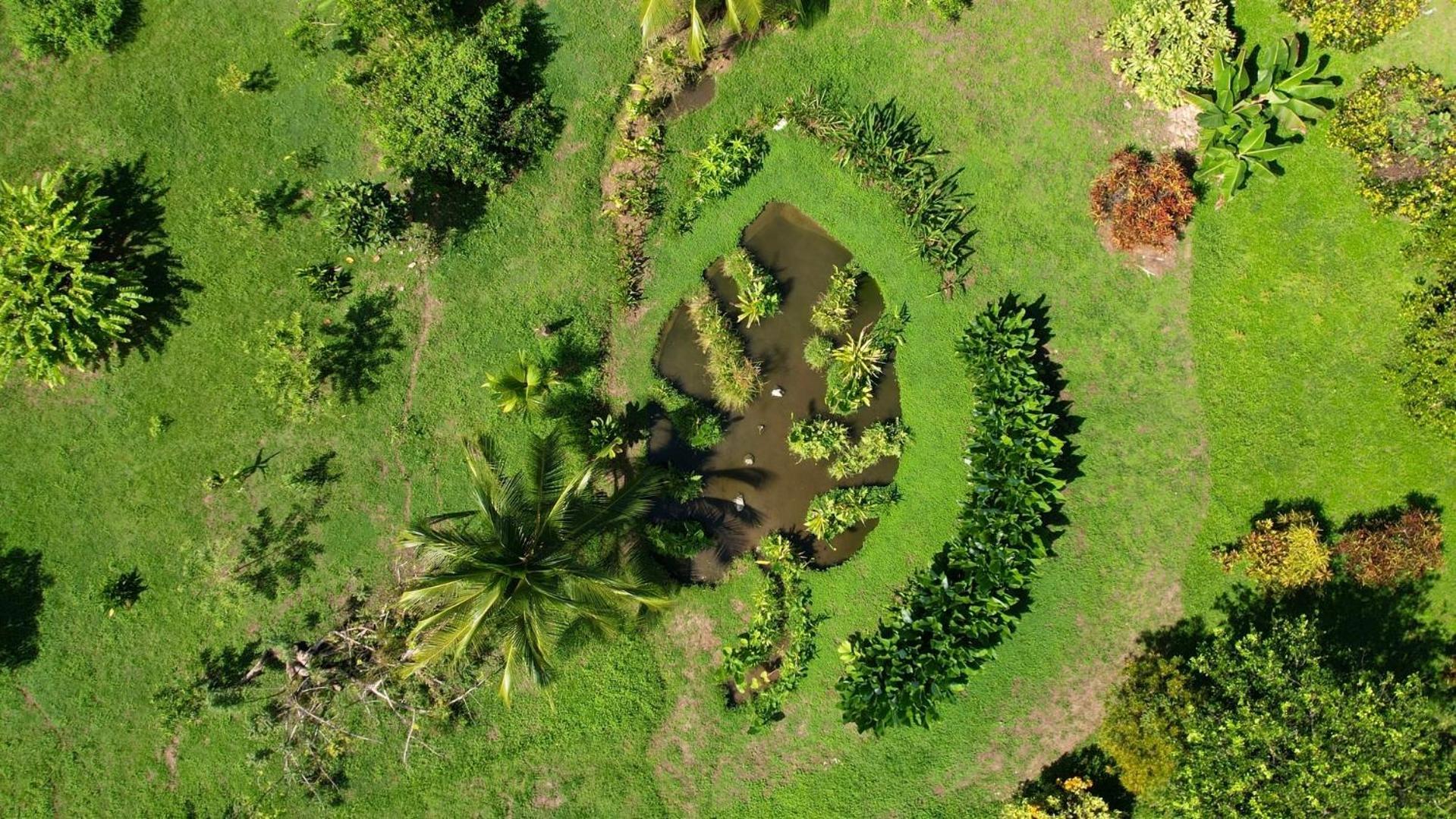 Eden Corcovado Villa San Pedrillo Eksteriør bilde