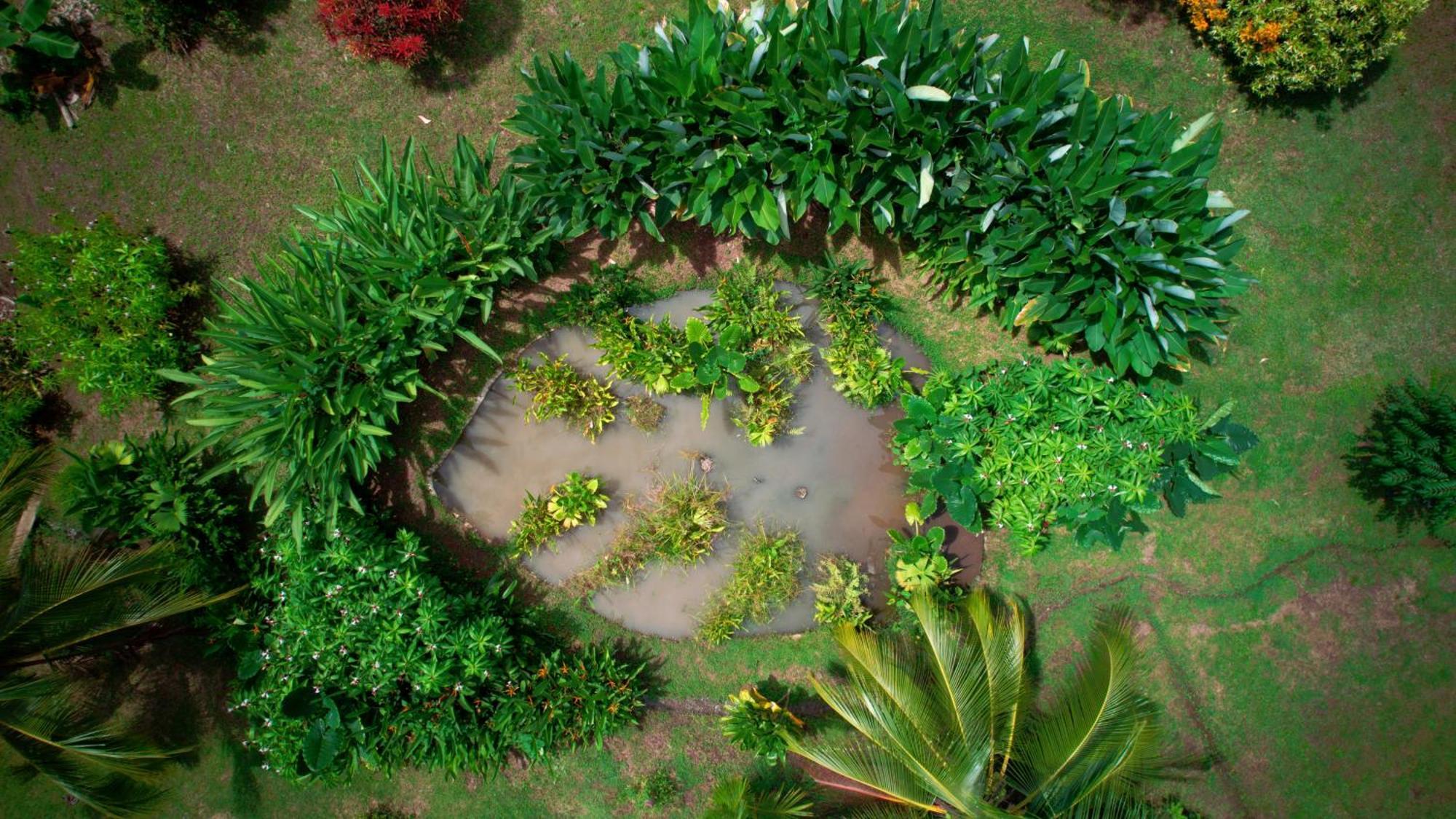 Eden Corcovado Villa San Pedrillo Eksteriør bilde